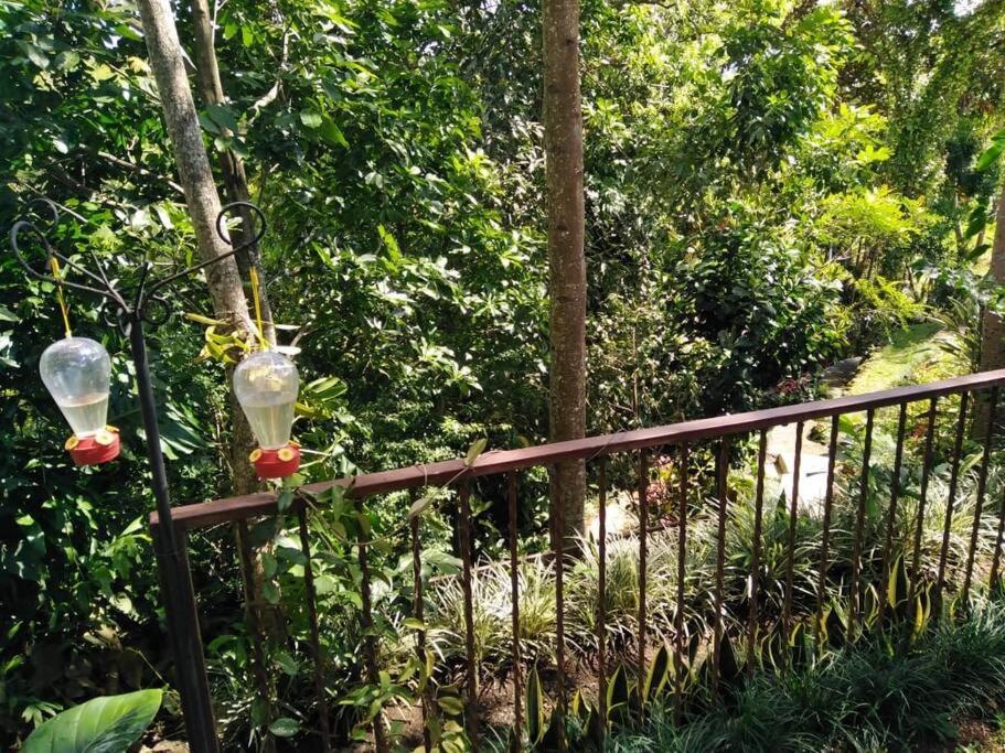Eco Villas Tambor Tucanes Ngoại thất bức ảnh