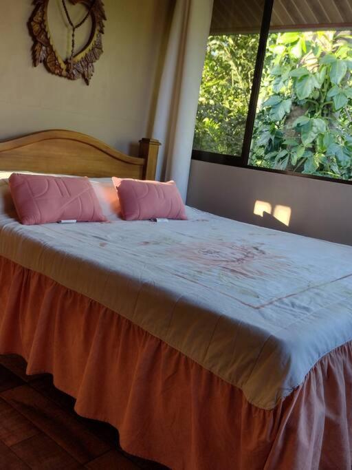 Eco Villas Tambor Tucanes Ngoại thất bức ảnh