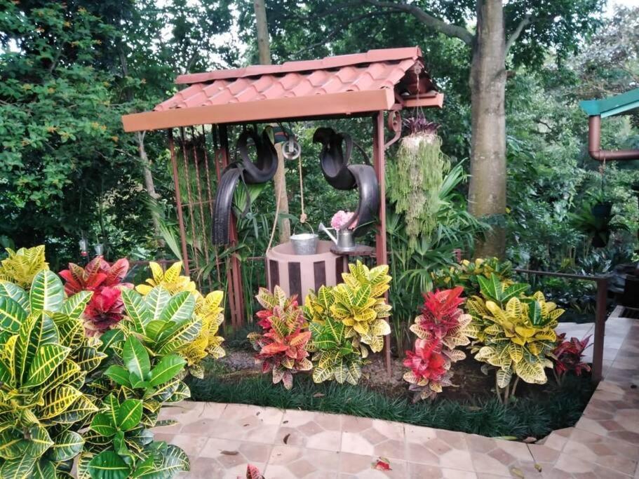 Eco Villas Tambor Tucanes Ngoại thất bức ảnh