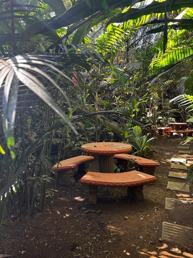 Eco Villas Tambor Tucanes Ngoại thất bức ảnh