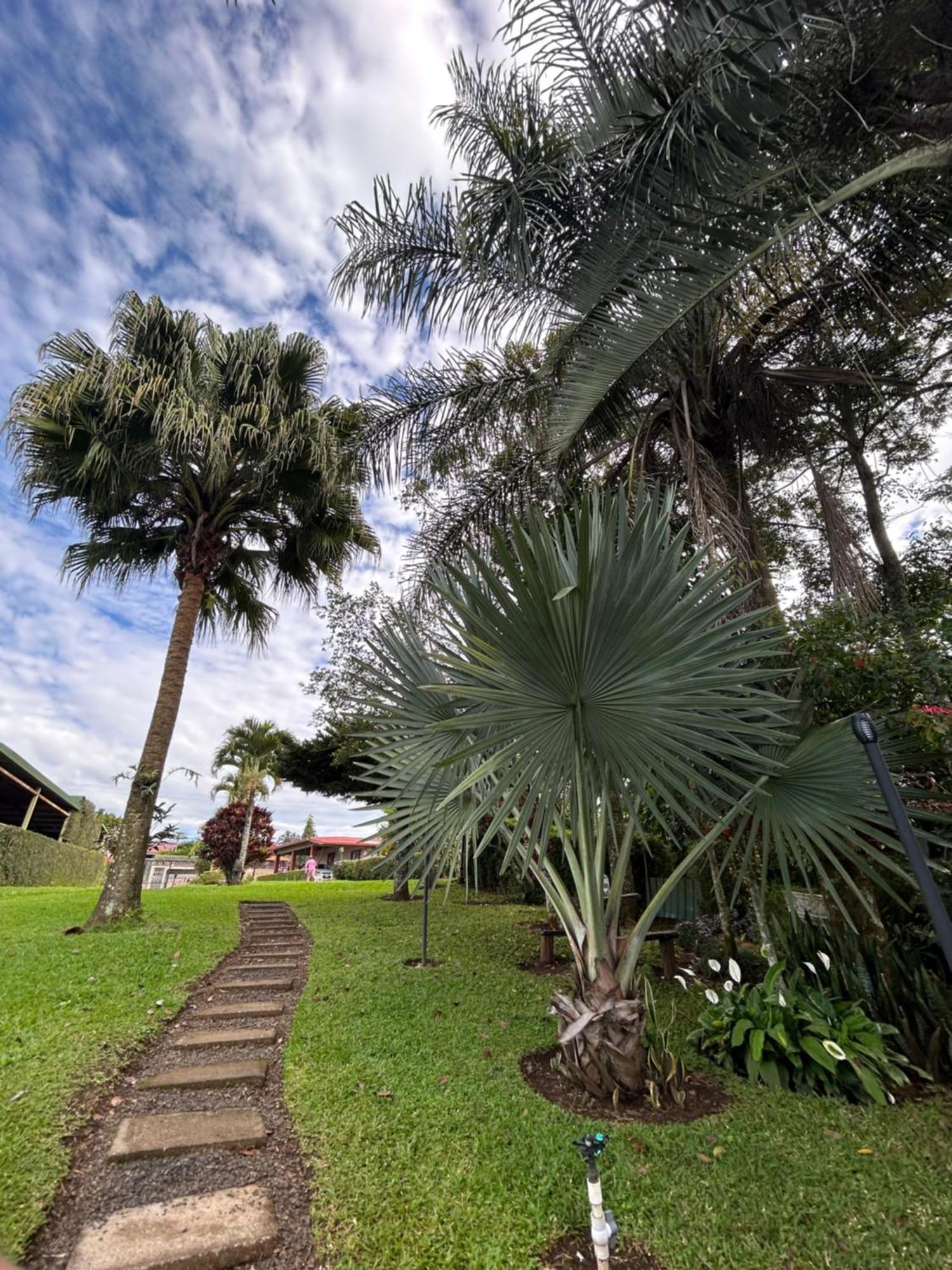 Eco Villas Tambor Tucanes Ngoại thất bức ảnh